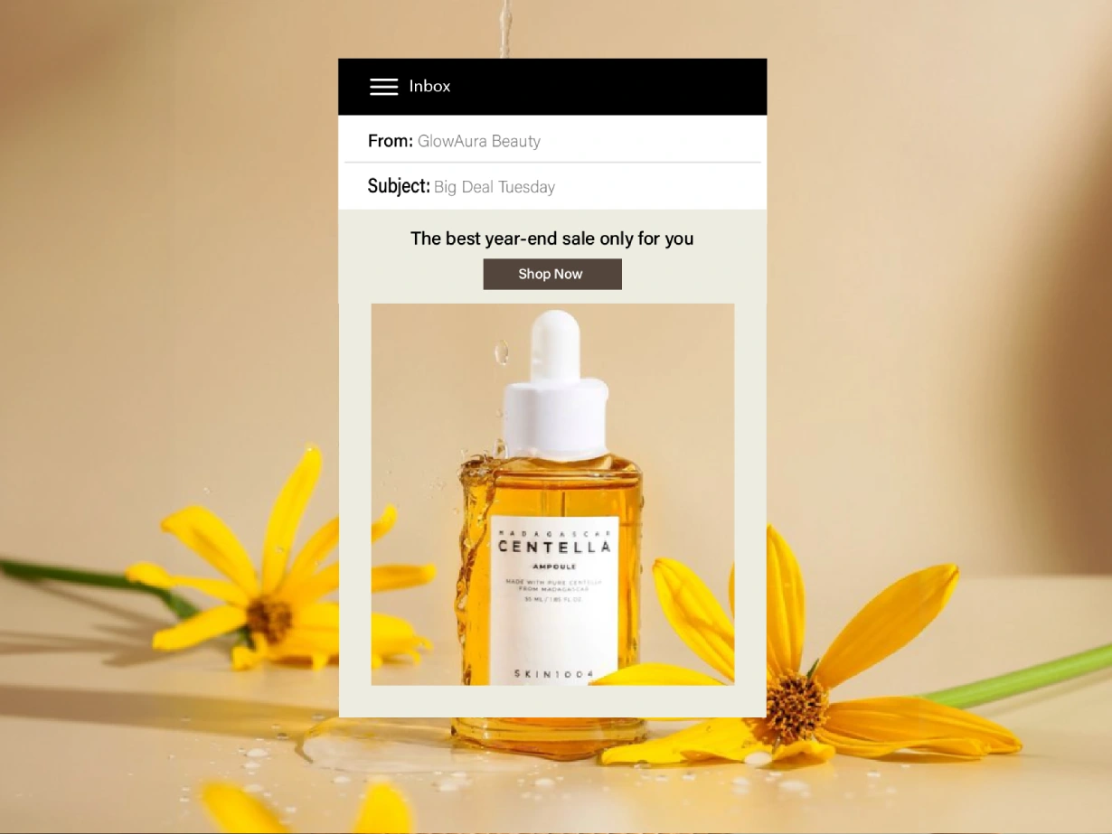 Steadfast Delivery Status interface